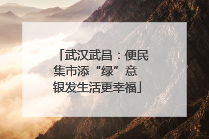 武汉武昌：便民集市添“绿”意 银发生活更幸福
